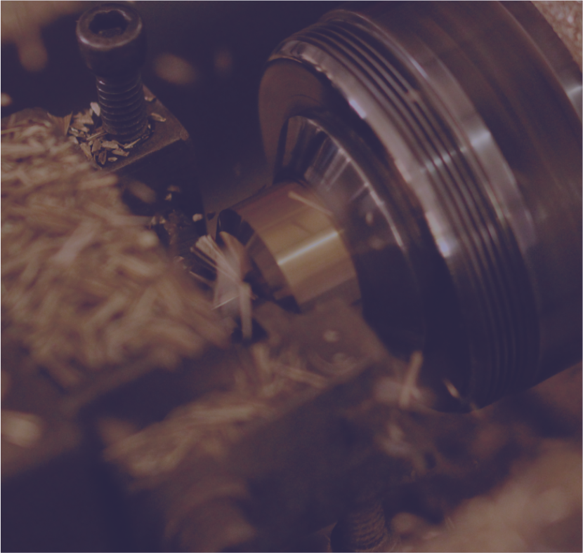 Process We Undertake